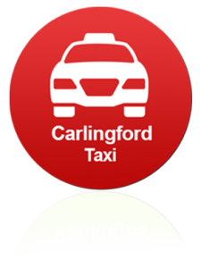 taxi_new taxi_new