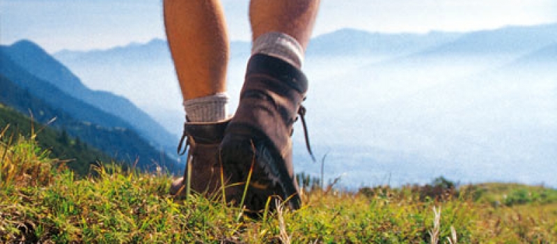 Hill-Walking-Carlingford-Stag
