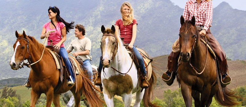 Horse-Riding