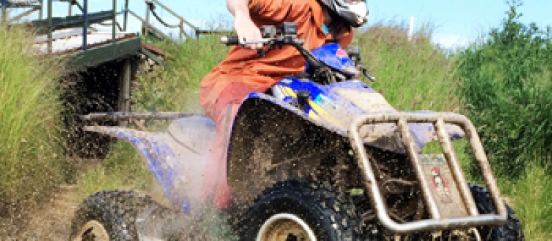 Quading-Carlingford-stag